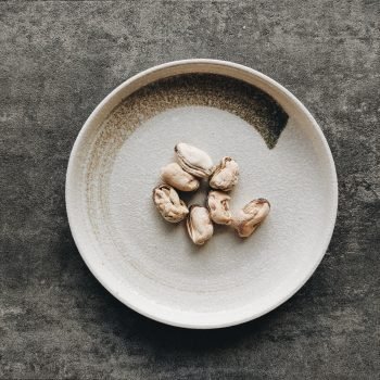 Freeze Dried Blue Mussels