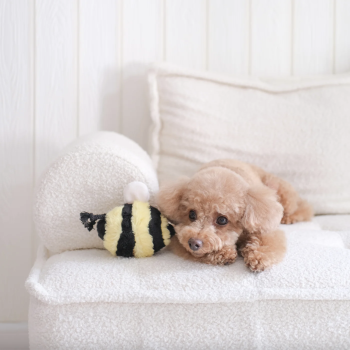 Alternative view of Bee Pop