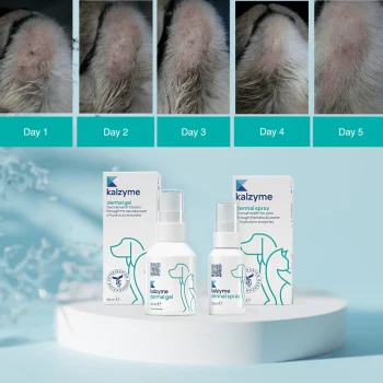 Kalzyme Derma Spray