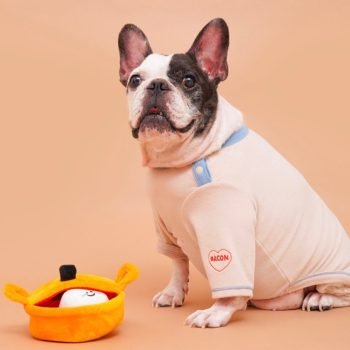 Alternative view of Kimchi Stew Nosework Toy