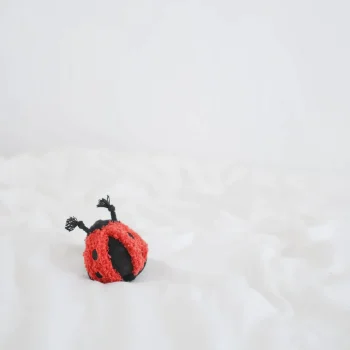 Alternative view of Mini Ladybug Pop