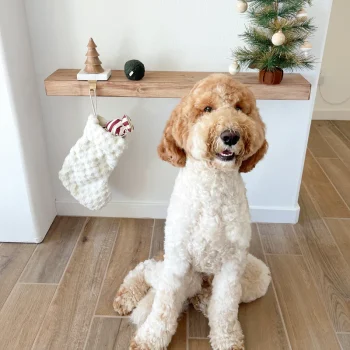 Alternative view of Christmas Stocking Set