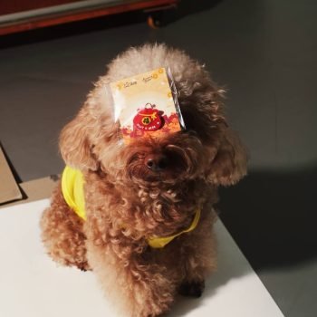 Alternative view of Huat is Here Fortune Bag Charm