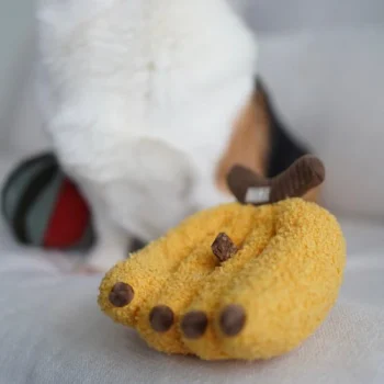 Alternative view of Banana Snuffle