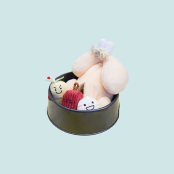 Ginseng Chicken Snuffle Toy