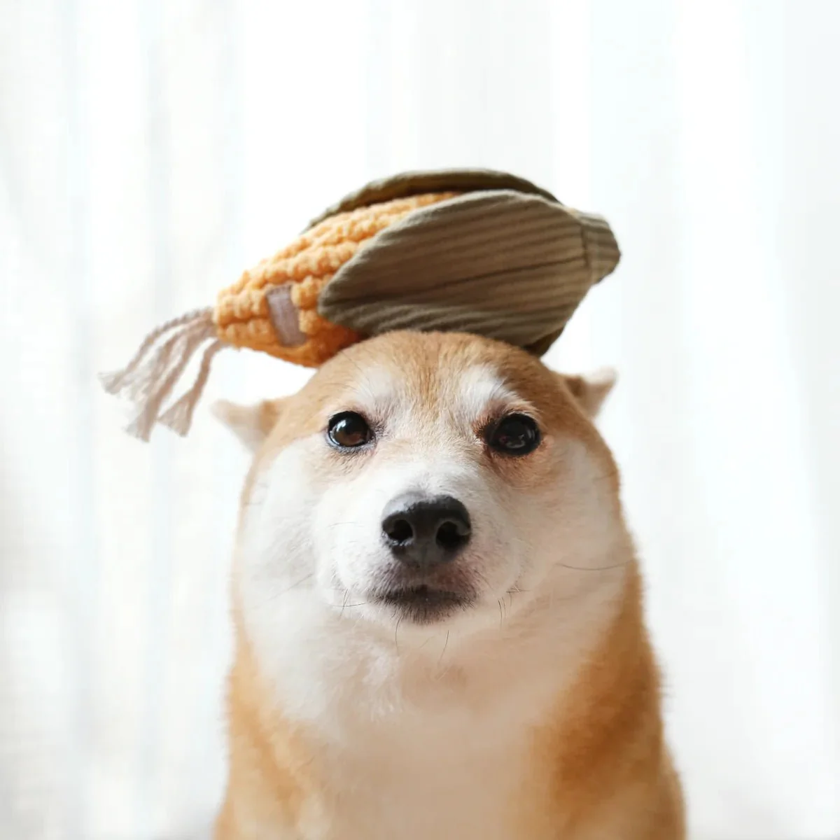 Corn & Leek Set - Image 4