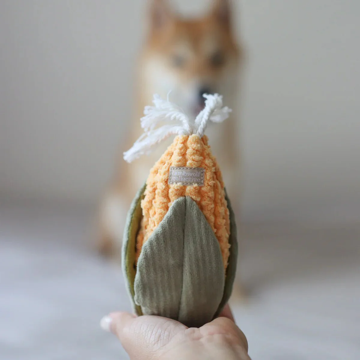 Corn & Leek Set - Image 5