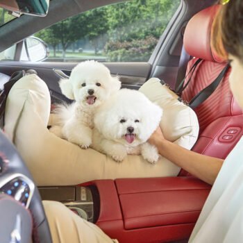 Car Seat Extended
