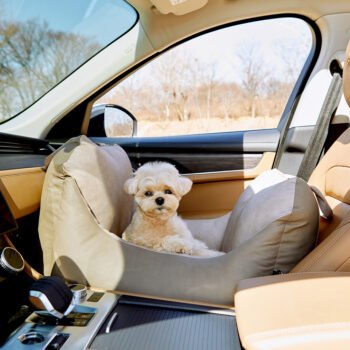 Car Seat Single